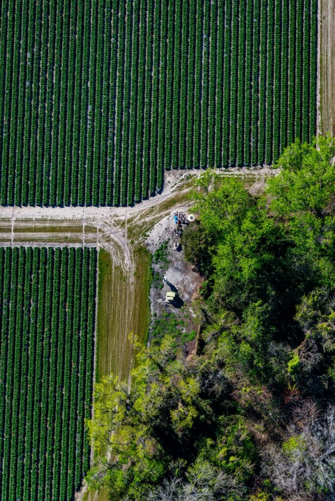 Aerial photograph showcasing vibrant green agricultural fields and bordering forests in Plant City, Florida.